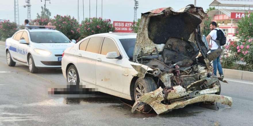 Lüks araç hayvan sürüsünü ezdi, 30 küçükbaş telef oldu