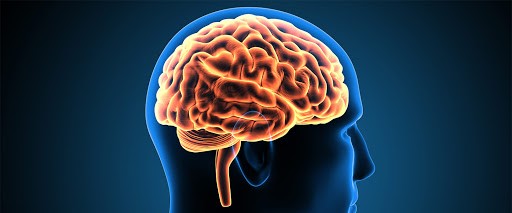 Dr. Engin Eker; İnsanların deneyimleri beynin yapısını şekillendiriyor