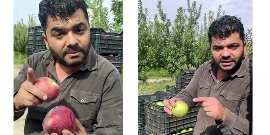 Çiftçinin isyanı:Bu sene elma benden 1 lira 75 kuruşa çıktı