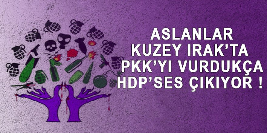 Kuzey Irak'ta PKK'yı vurdukça ses HDP'den geliyor !