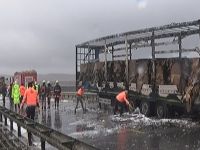 TEM'de seyir halinde olan tırın dorsesi alev aldı