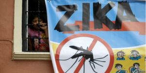 Zika salgını paniği!