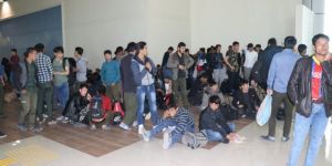 227 Afganistan uyruklu kaçak göçmen sınır dışı edildi