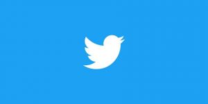 Twitter yeni üyelik sistemini 2,99Ş'dan satışa sunacak.