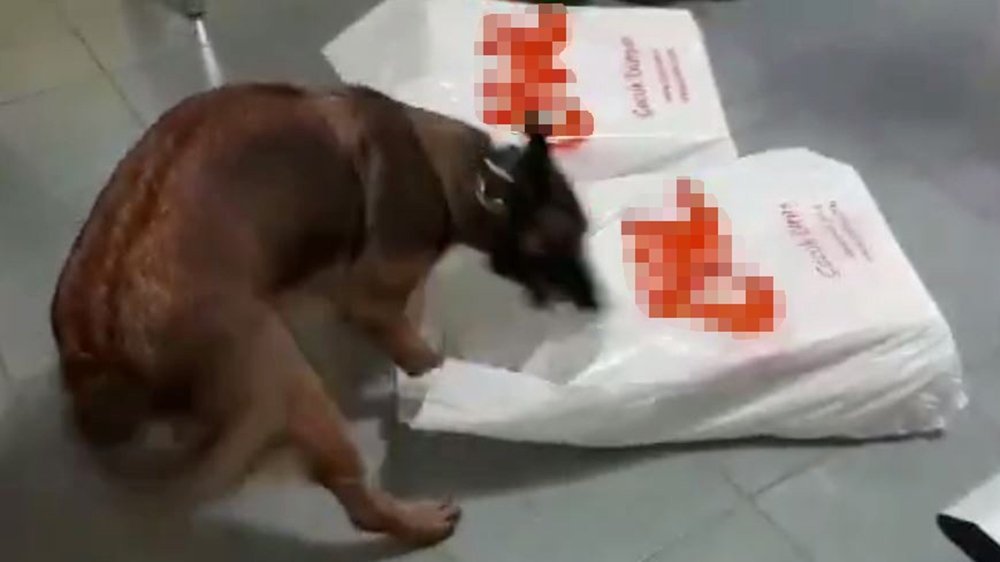 Bebek kıyafetleri arasında uyuşturucu sevkiyatı