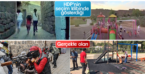 hdp_8953.jpg